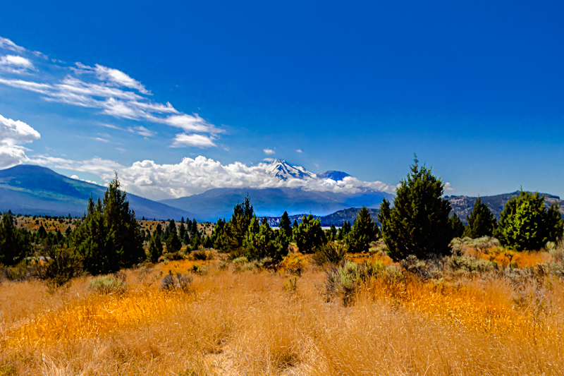 Mount Shasta reflected in a still alpine meadow at the base