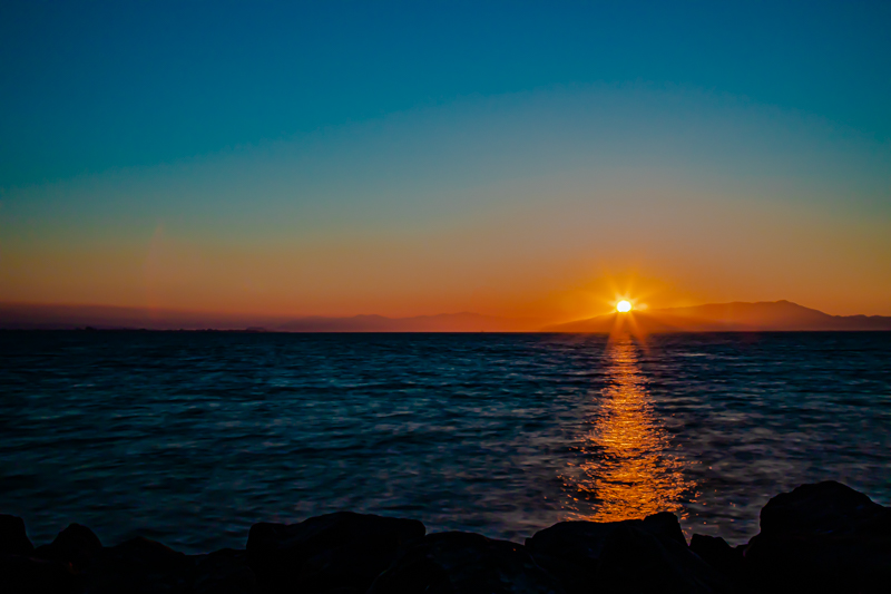 Emeryville Marina at sunset — masts silhouetted against an orange sky