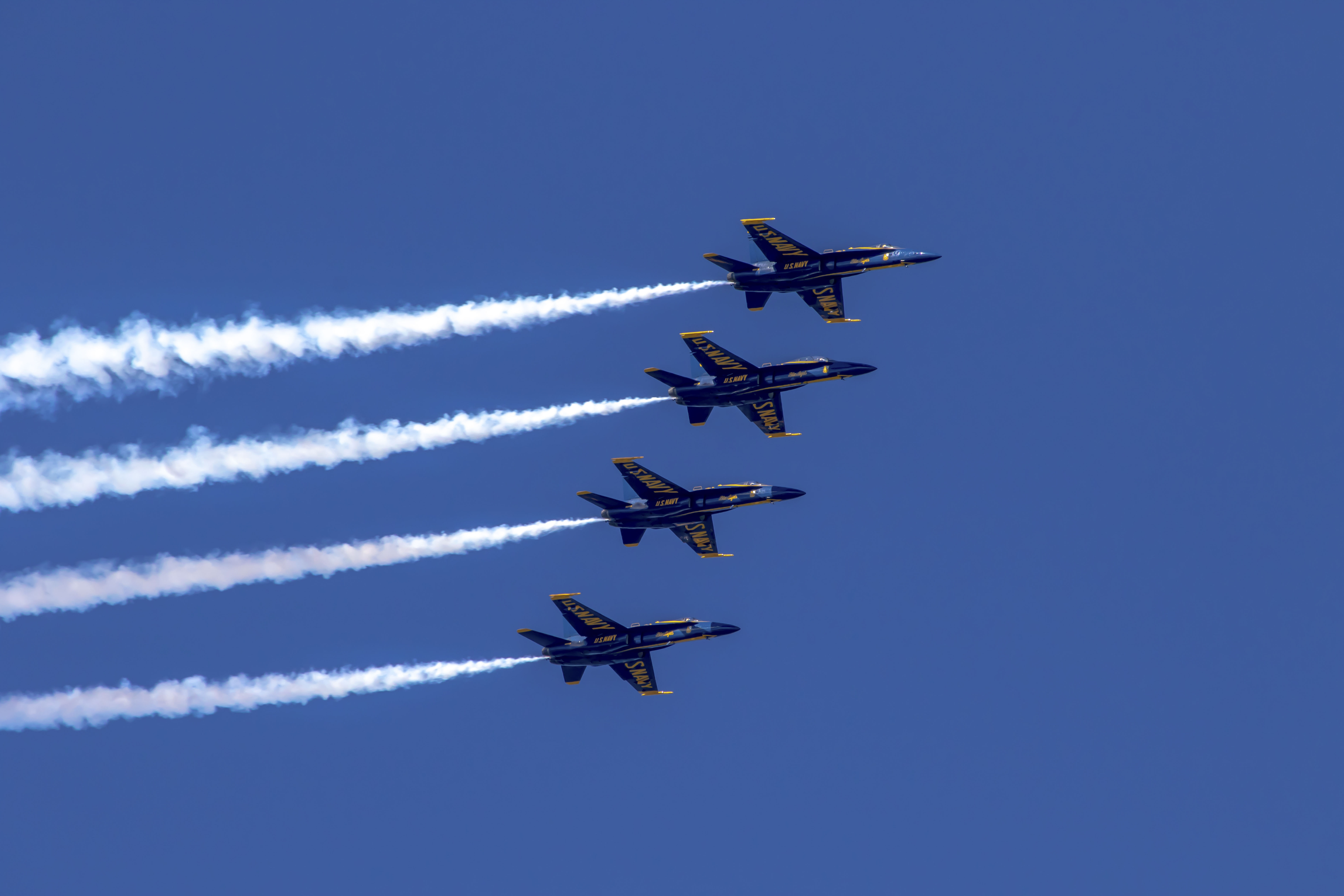 Fleet Week crowd watching as the jets streak overhead