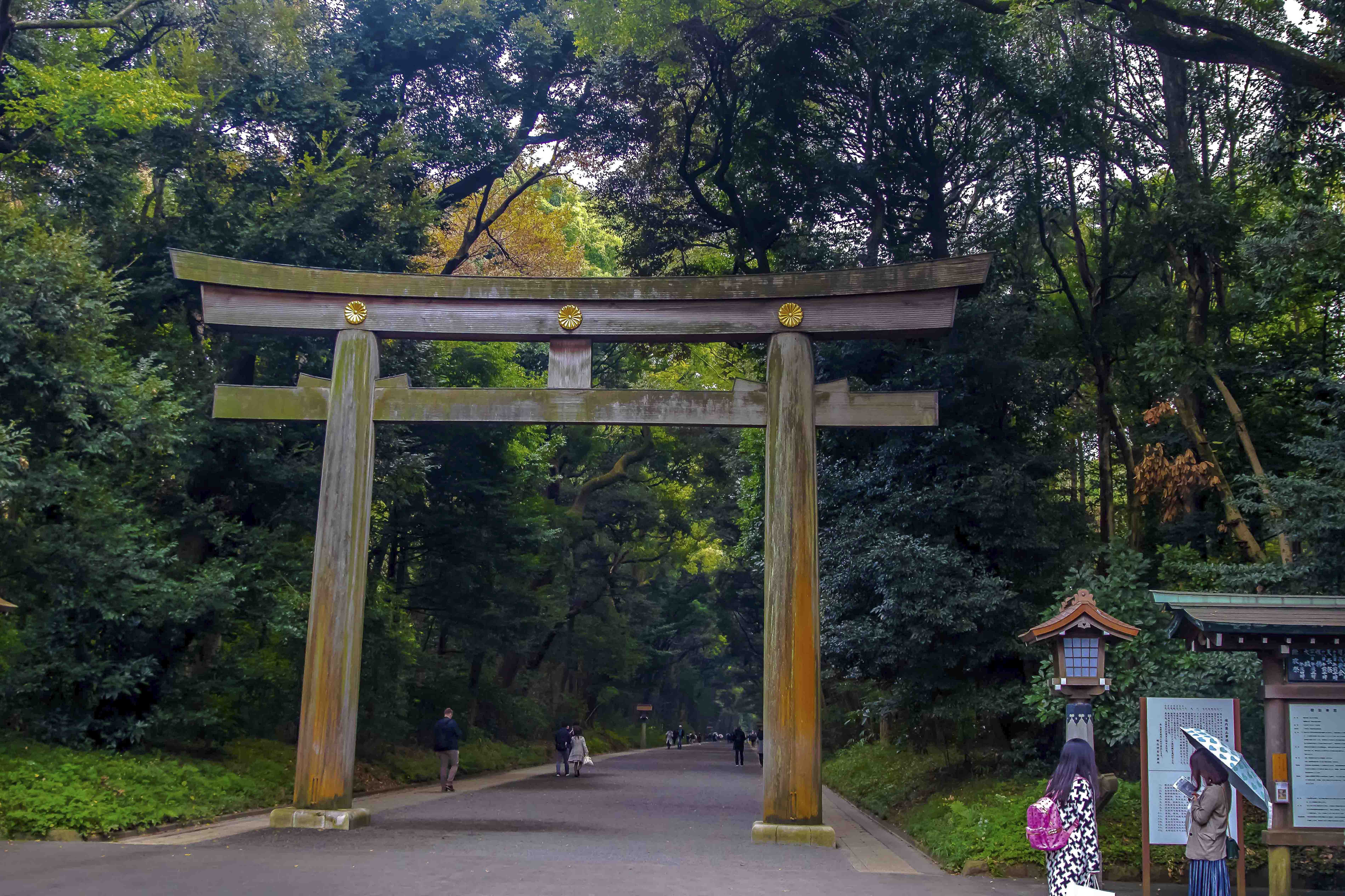 Grand torii gate entrance to Meiji Shrine, Harajuku