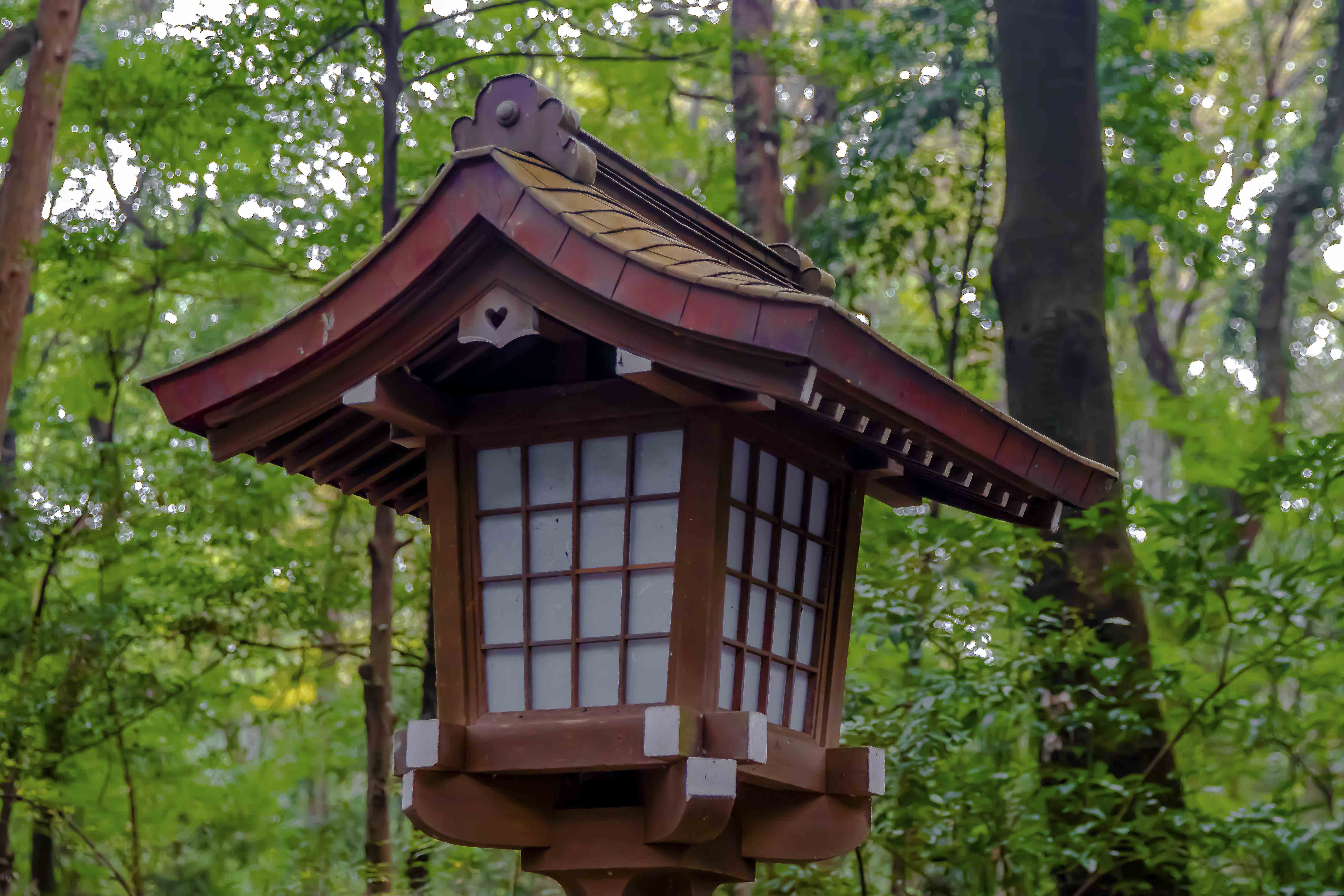 Wooden lantern in the forest path of Meiji Shrine