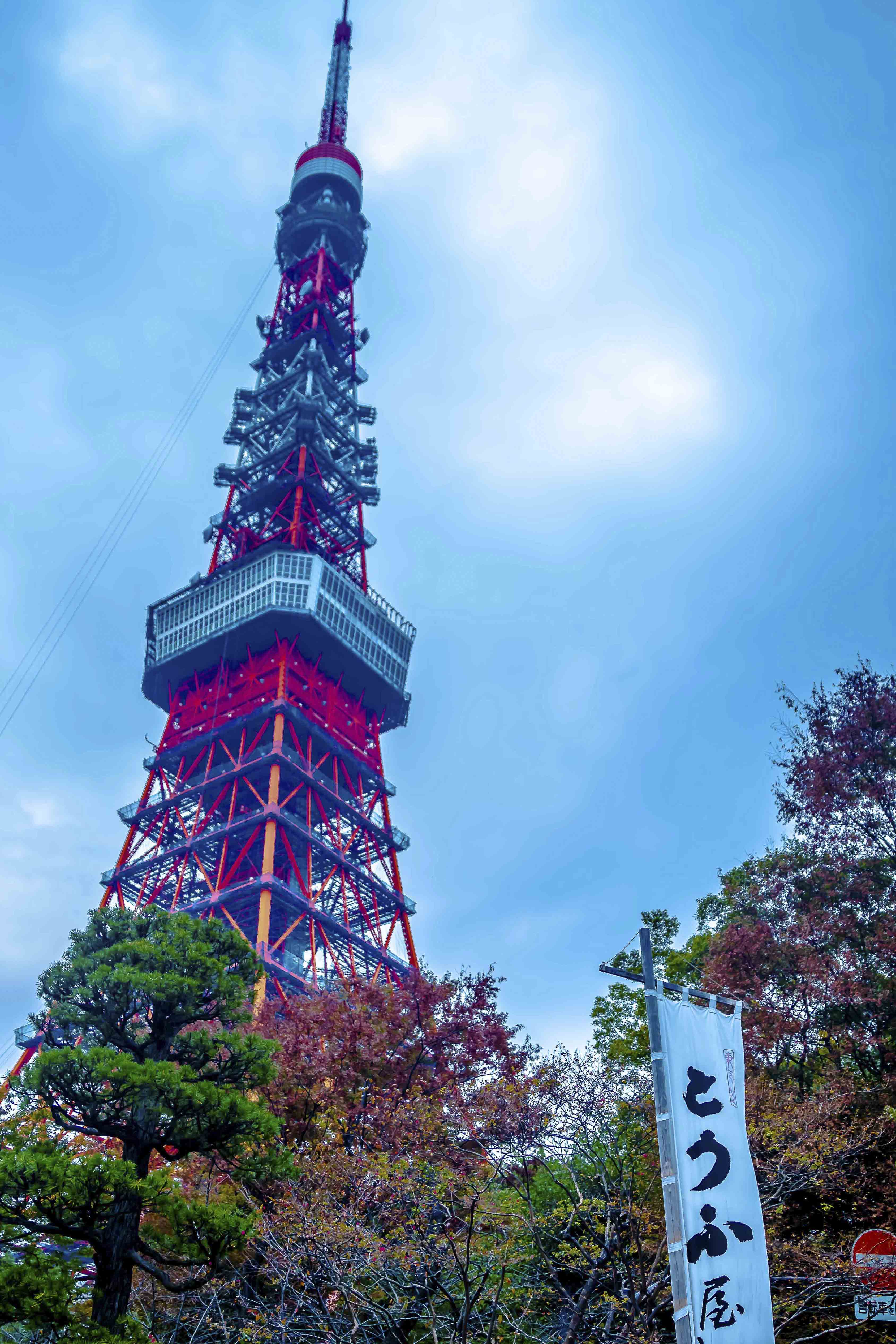 Tokyo Tower rising above the autumn treeline at dusk