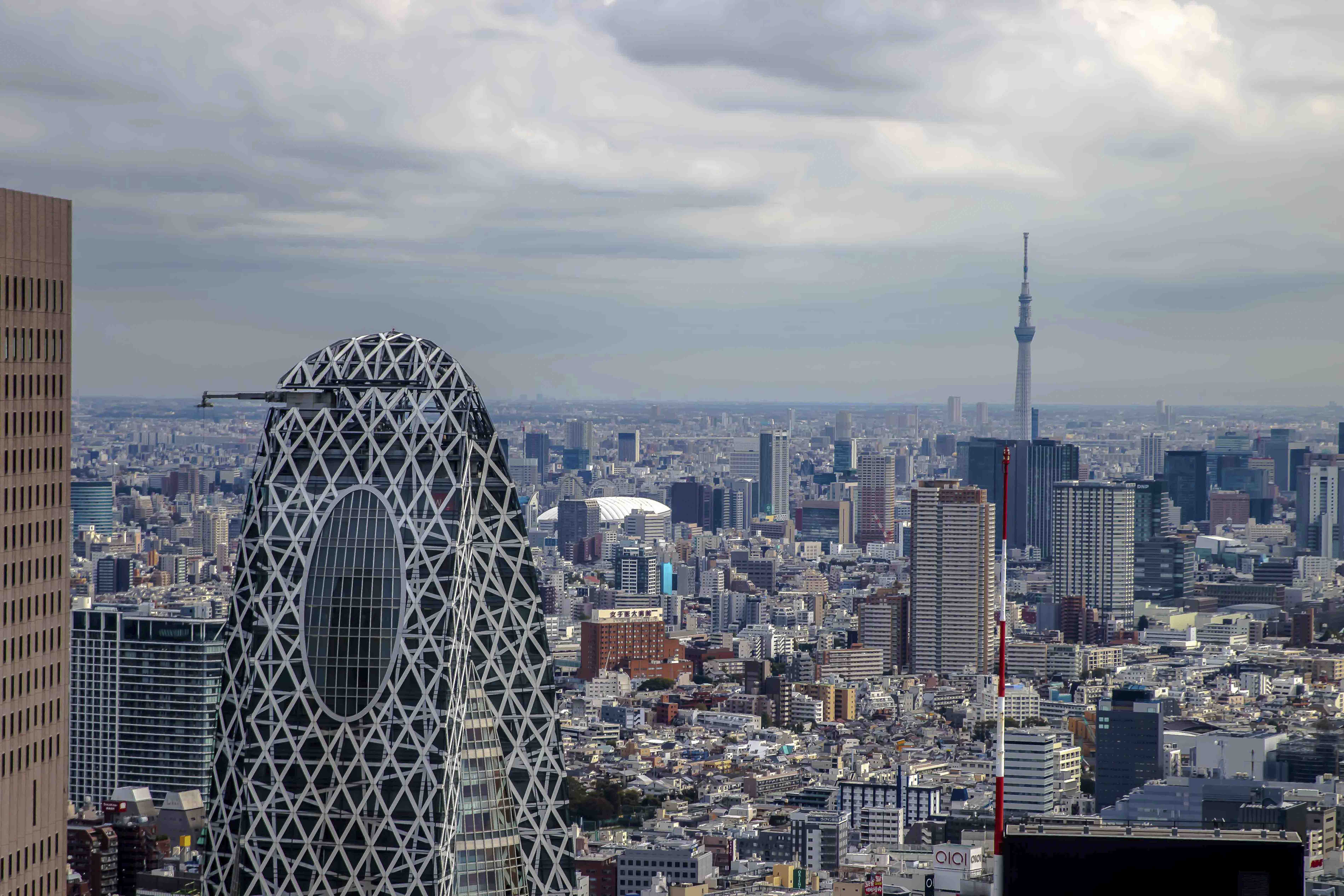 Tokyo skyline from the Metropolitan Government Building — Cocoon Tower and Skytree in the distance