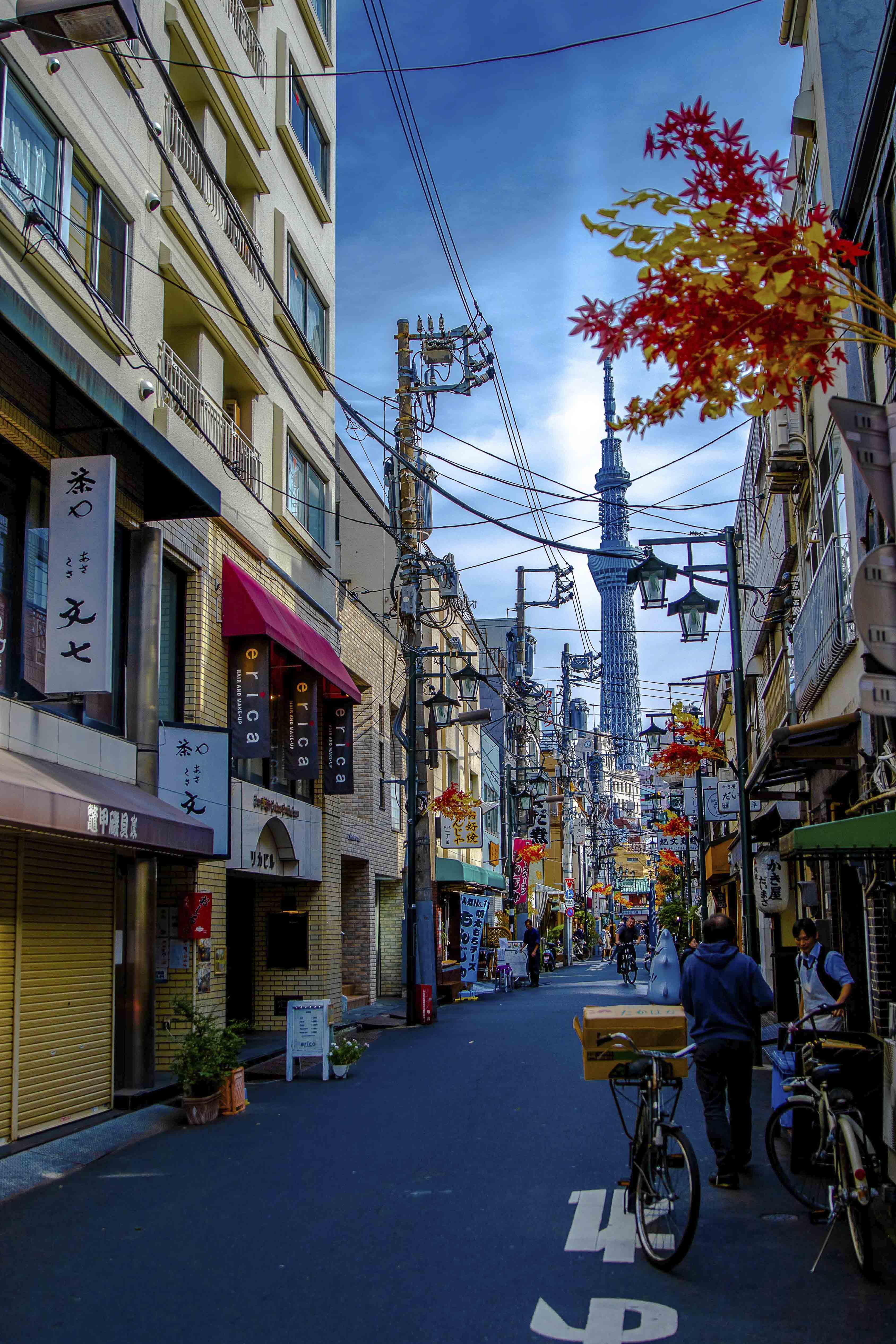 Narrow alley framing the Tokyo Skytree, autumn leaves overhead