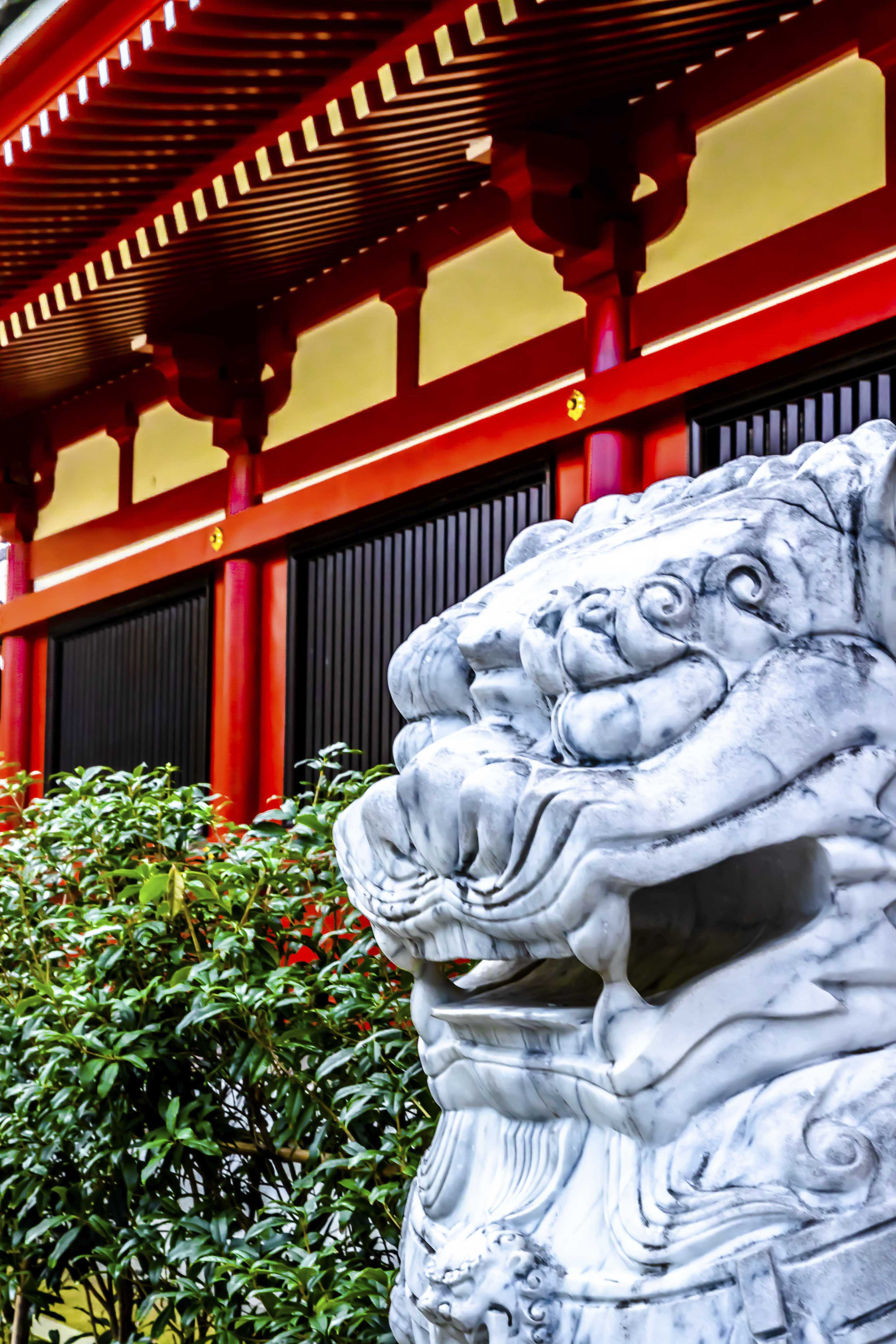 Guardian lion-dog with temple hall behind