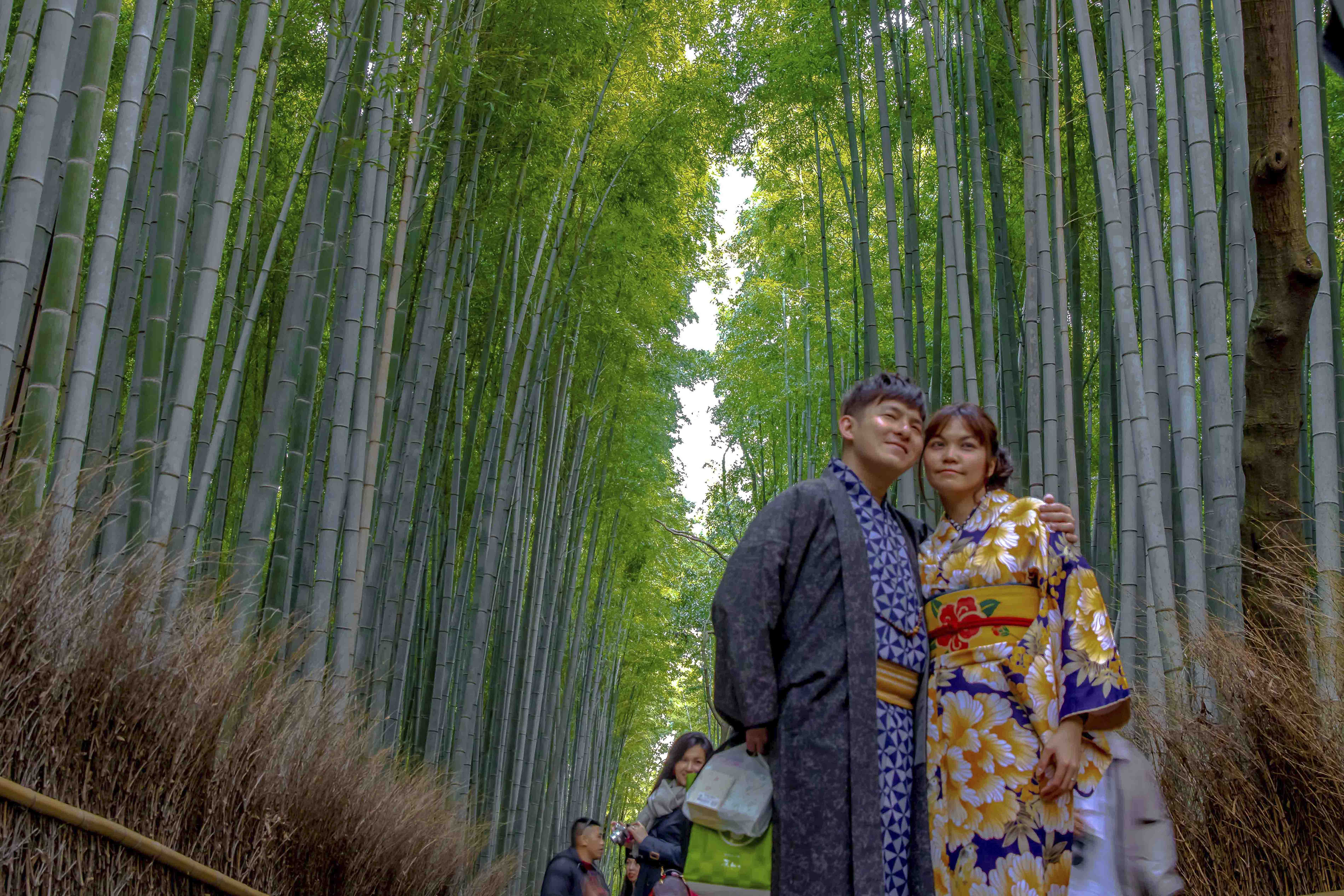 Couple in kimono in the Arashiyama Bamboo Grove, Kyoto