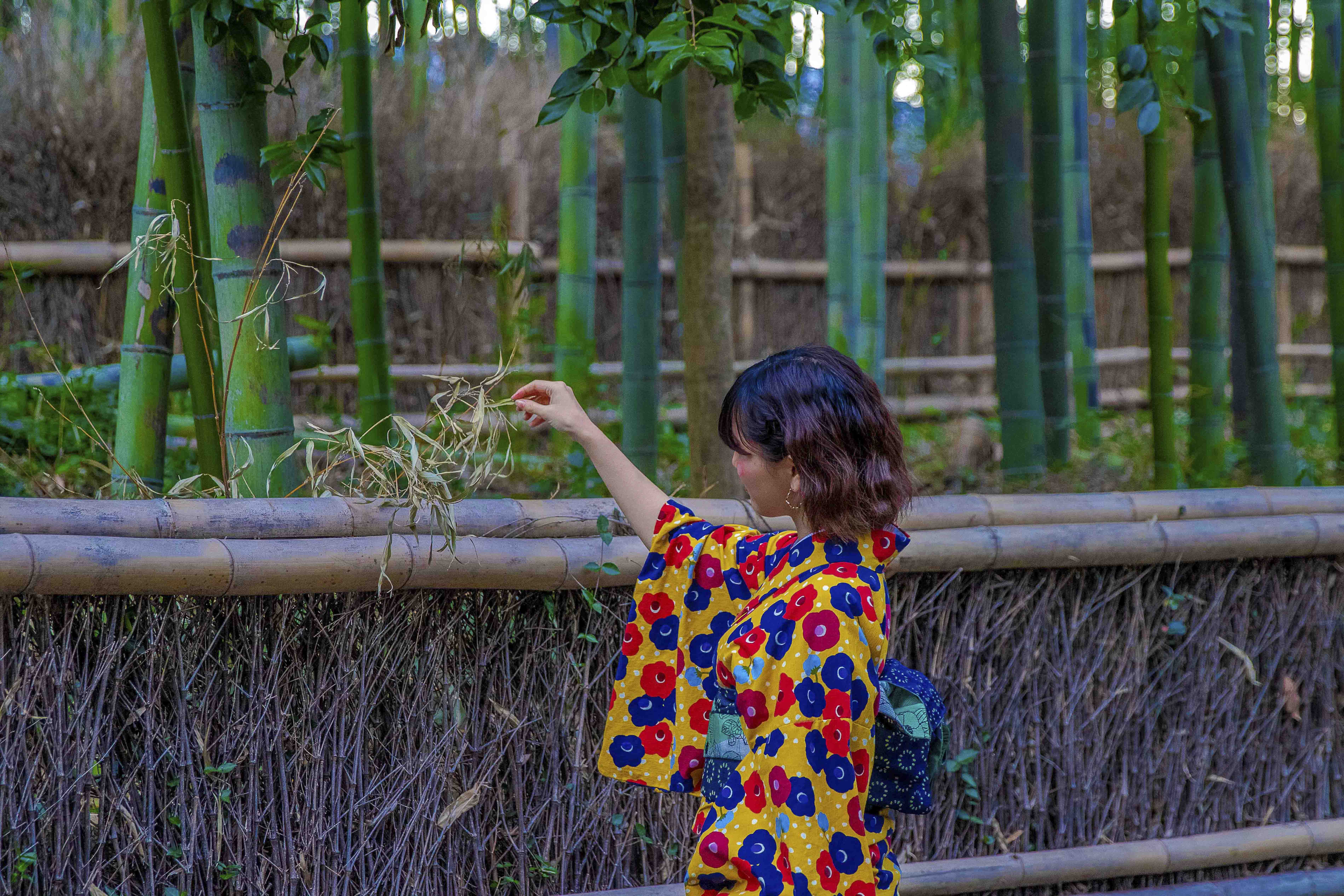 Woman in kimono exploring the Arashiyama Bamboo Grove